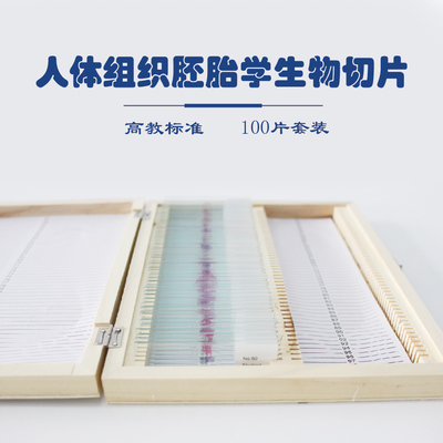 專業(yè)教學(xué)之利器 木盒裝人體正常組織切片100片套裝